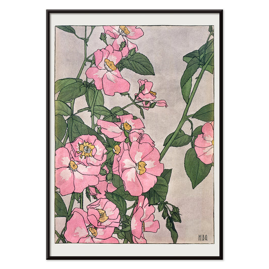 , with black aluminium frame on white background