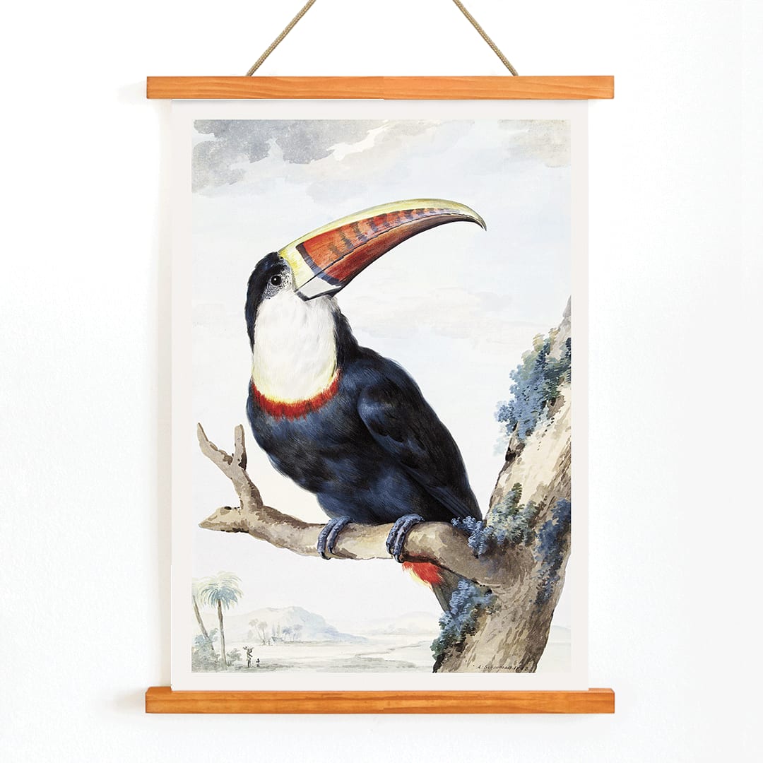 Red-billed Toucan perched on a branch in a landscape painting by Aert Schouman poster artwork, with wooden magnetic frame on white background