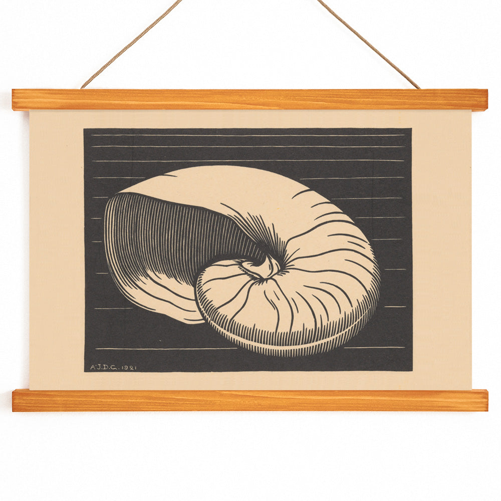 Black and white and beige shell illustration by Julie de Graag linocut artwork poster perfect for art and nature lovers, with wooden magnetic frame on white background