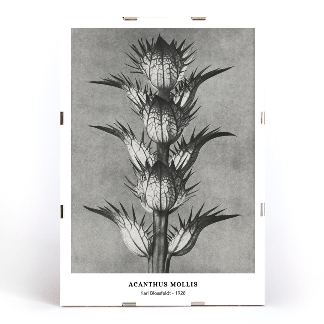 , framed and displayed in modern living room decor