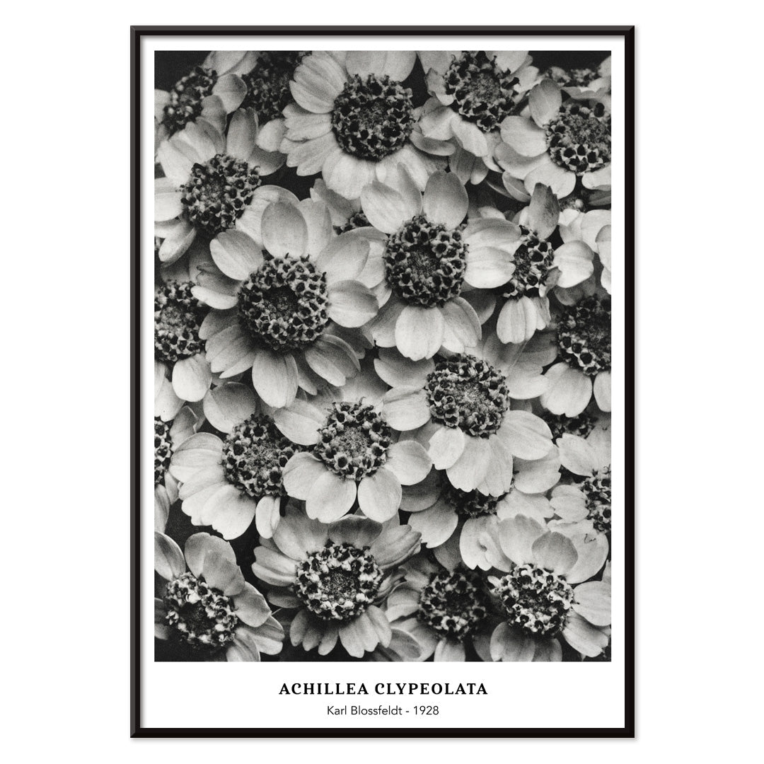 , with black aluminium frame on white background