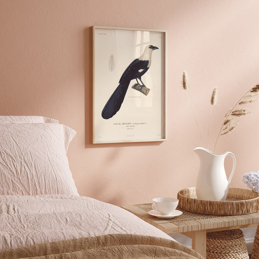 Bird perched on a branch by Louis-Isidore Duperrey from Voyage autour du monde Pl 139 illustration and poster, framed and displayed in home decor