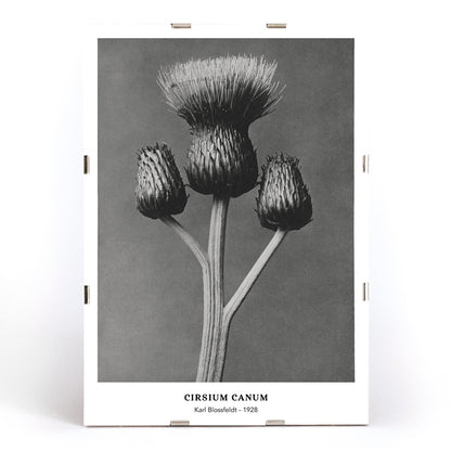 , framed and displayed in modern living room decor