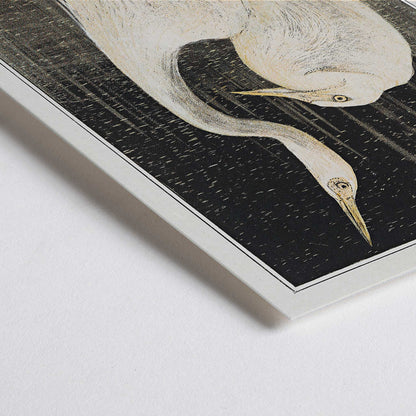 Closeup detail of Two white herons depicted in artwork Twee zilverreigers by Theo van Hoytema poster suitable for wall decor against a dark background