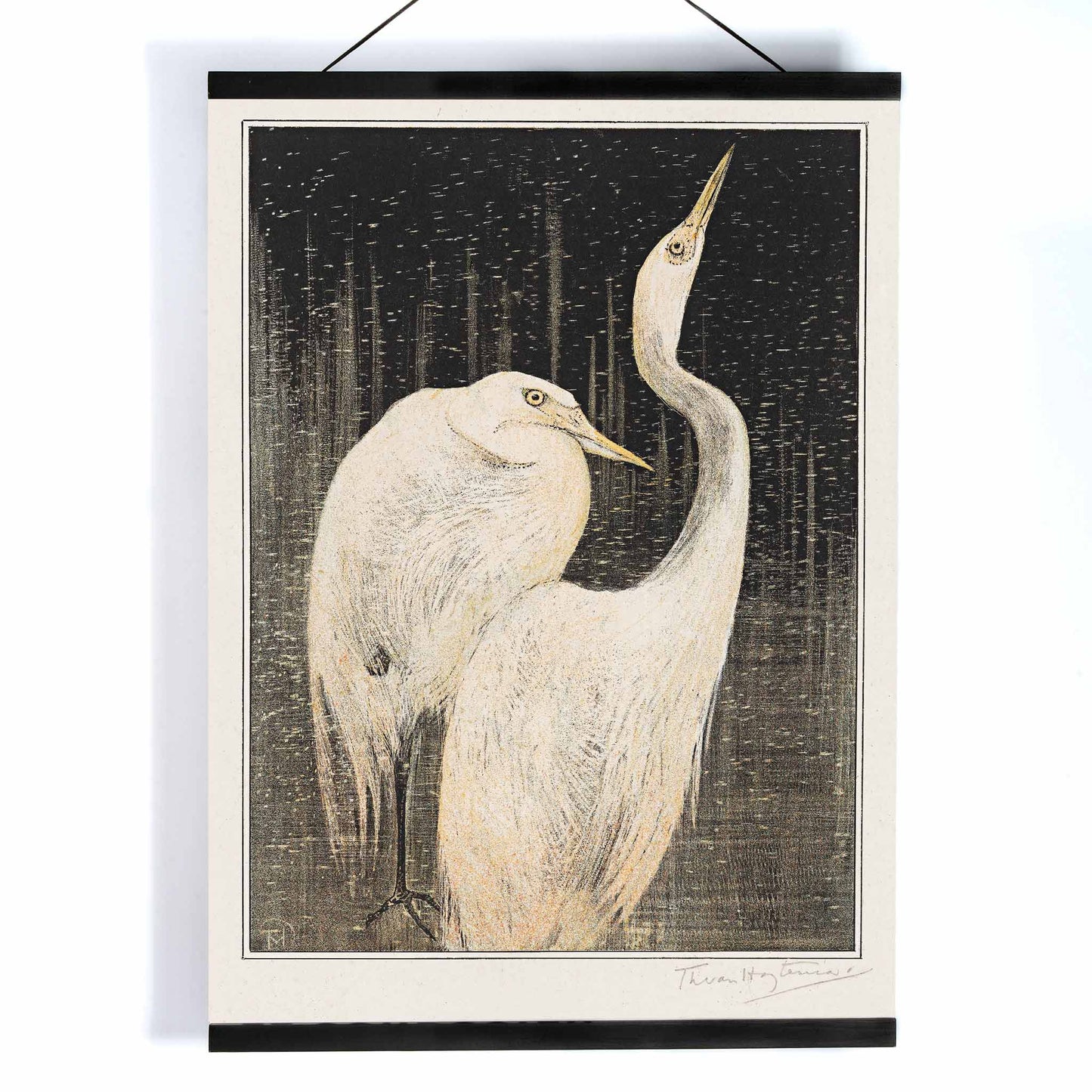 Two white herons depicted in artwork Twee zilverreigers by Theo van Hoytema poster suitable for wall decor against a dark background, with wooden magnetic frame on white background
