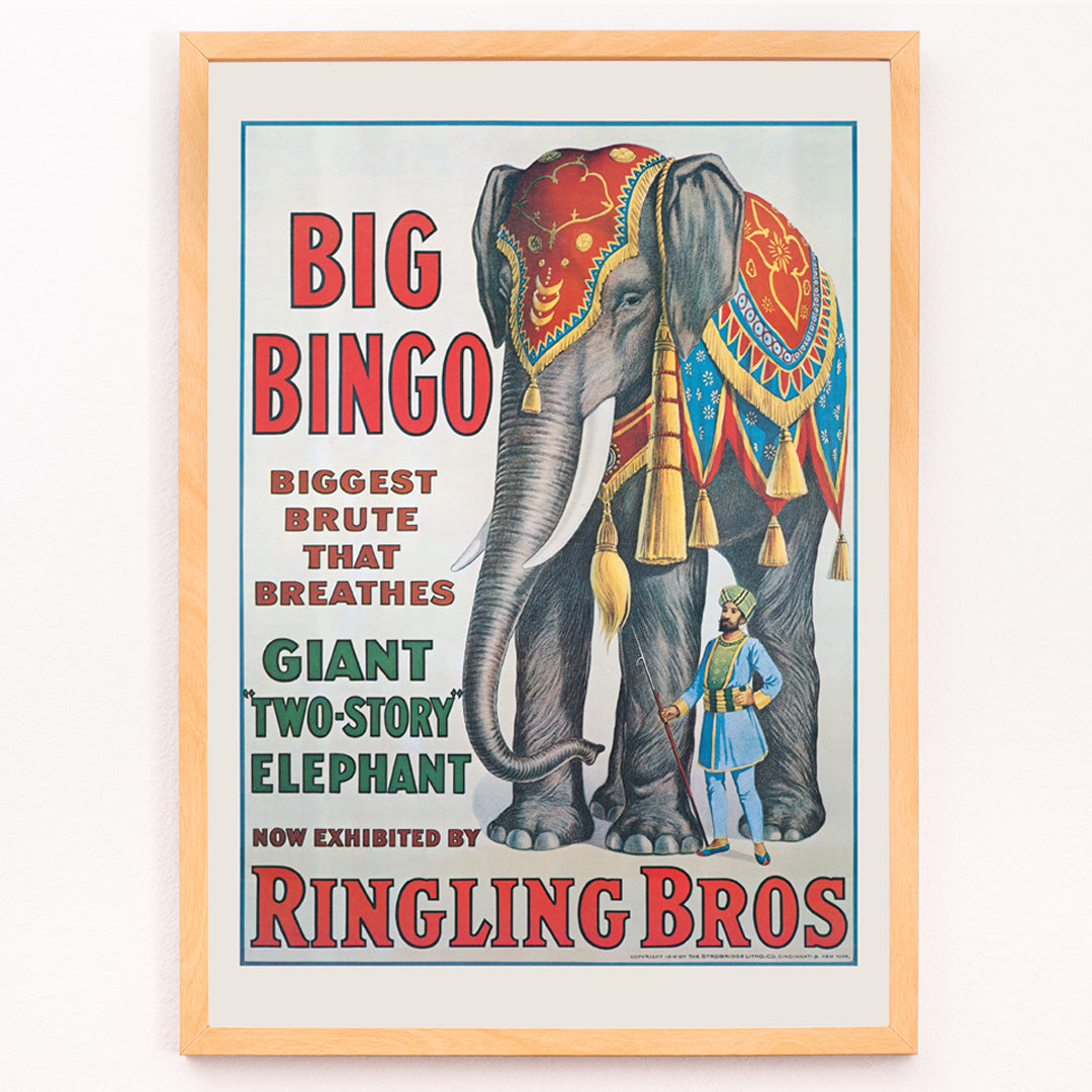 Closeup detail of Colorful circus elephant and trainer poster artwork featuring Big Bingo a decorated giant elephant and circus keeper with vibrant circus themed graphics