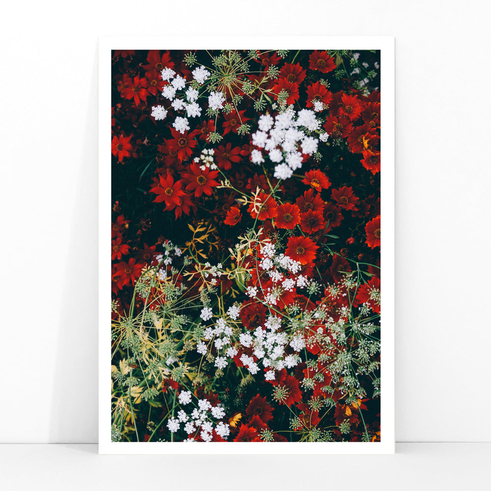 Overhead shot of red and white flowers artwork poster, framed and displayed in modern living room decor