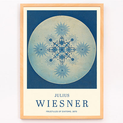 Frustules of Diatoms cyanotype artwork and poster by Julius Wiesner featuring intricate blue diatom designs on a circular background, framed and displayed in modern living room decor