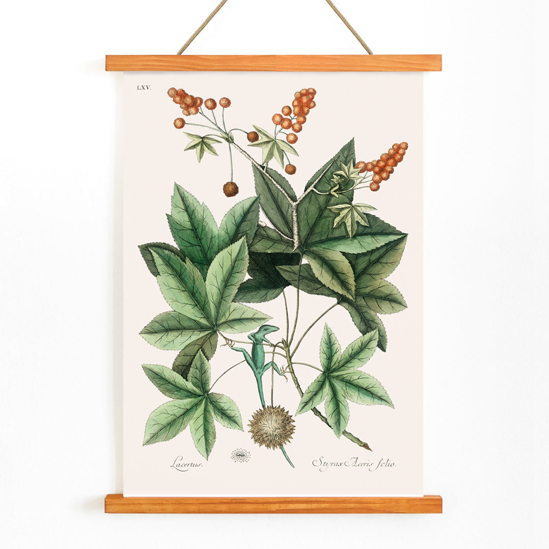 , with wooden magnetic frame on white background