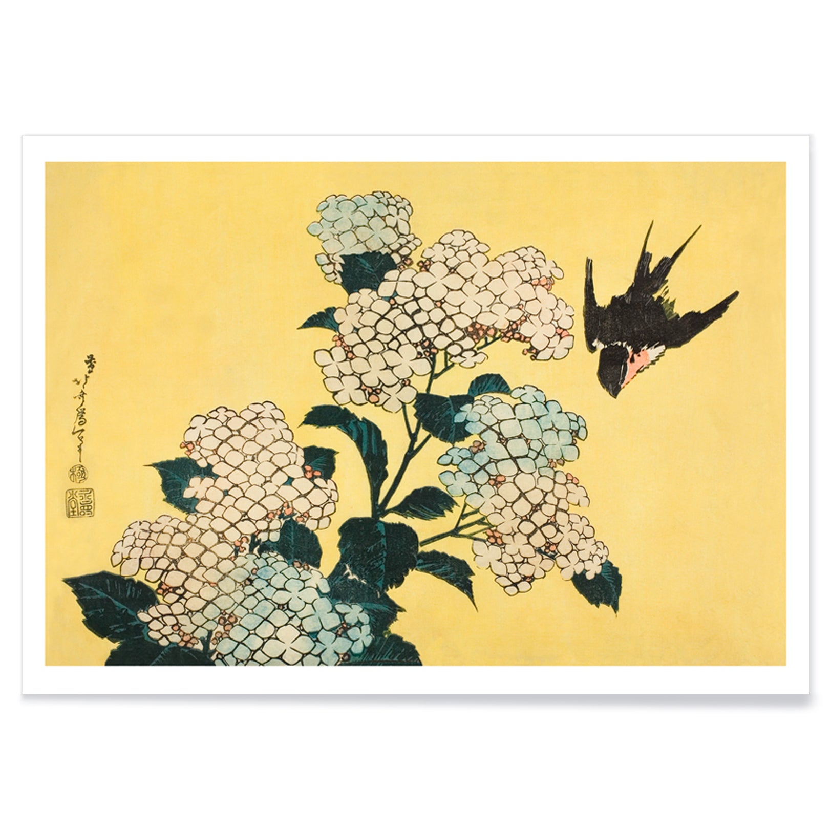 Swallow bird flying near blooming hydrangea flowers artwork by Katsushika Hokusai titled Hydrangea and Swallow on yellow background, with black aluminium frame on white background