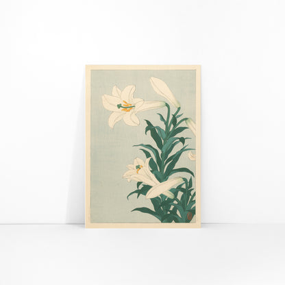White lilies floral artwork by Ohara Koson with green leaves on light blue background poster Lelies flowers, framed and displayed in modern living room decor