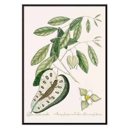 , with black aluminium frame on white background