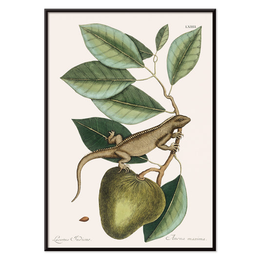 , with black aluminium frame on white background