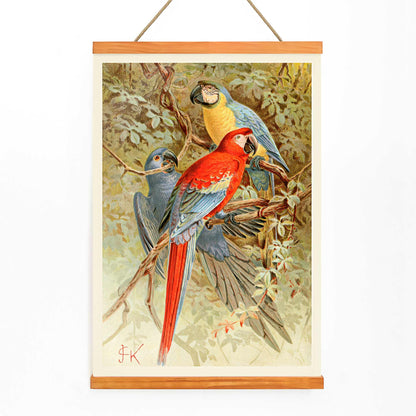 Colorful macaws perched on tree branches in a lush forest vibrant macaw artwork poster, with wooden magnetic frame on white background