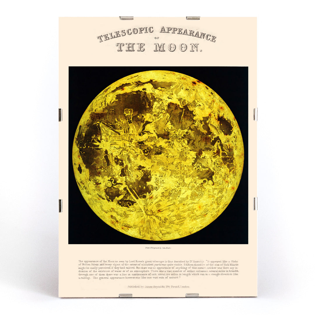 , framed and displayed in modern living room decor