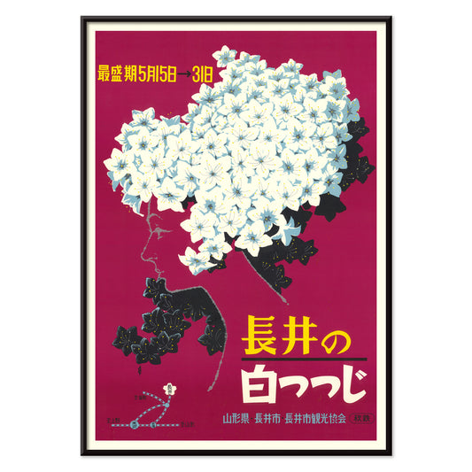 , with black aluminium frame on white background