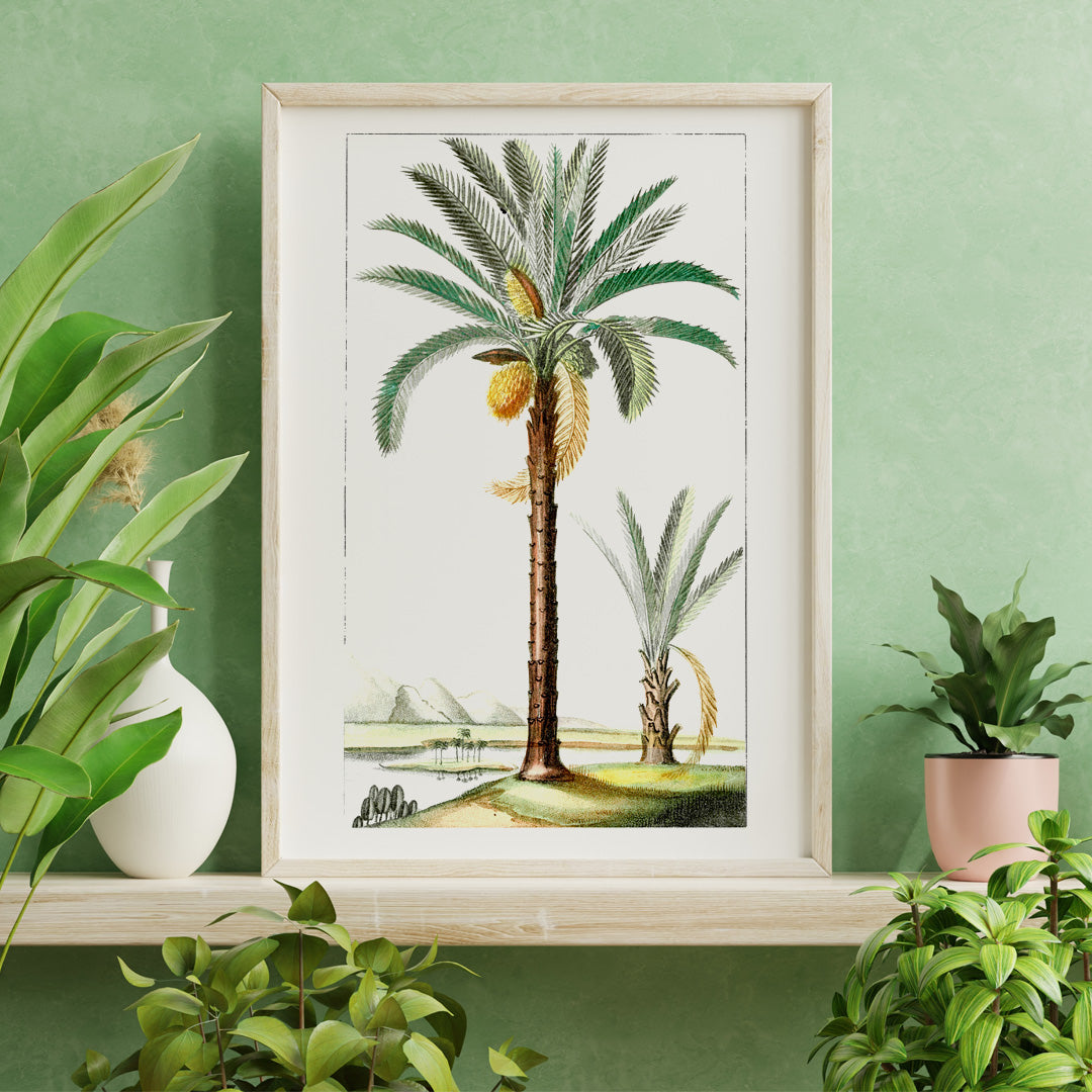 Hand drawn palm tree art print poster with detailed leaves and landscape background, framed and displayed in home decor