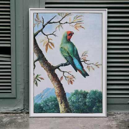 Colorful parrot on a tree branch with mountain landscape Bird Study painting by George Edwards poster artwork, framed and displayed in modern living room decor