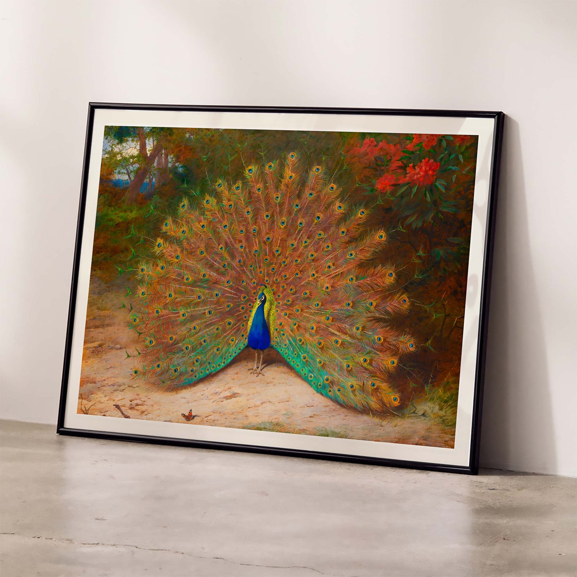 Colorful peacock with open feathers and butterfly in garden art poster vibrant tail feathers natural setting artwork Peacock And Peacock Butterfly by Archibald Thorburn, framed and displayed in modern living room decor