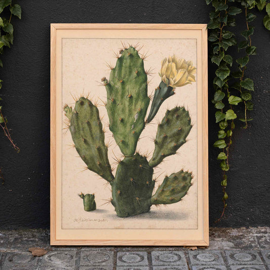 Pear Cactus in Bloom by Herman Saftleven botanical illustration and poster featuring a green cactus with a yellow flower on a neutral background, framed and displayed in home decor