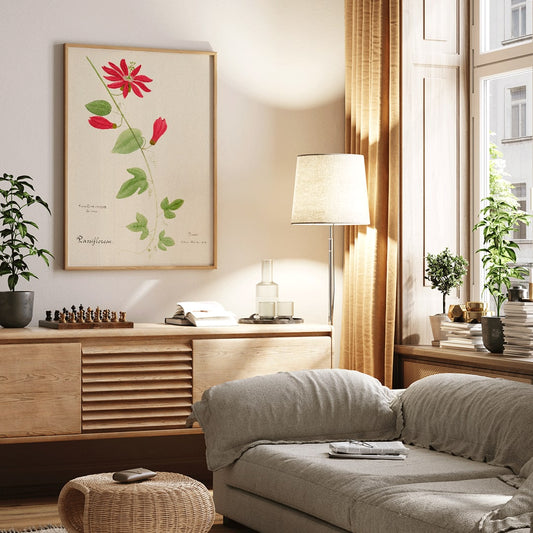 Botanical illustration of Passiflora coccinea red granadilla flower with green leaves and stems by Red Granadilla and Anonymous, framed and displayed in home decor