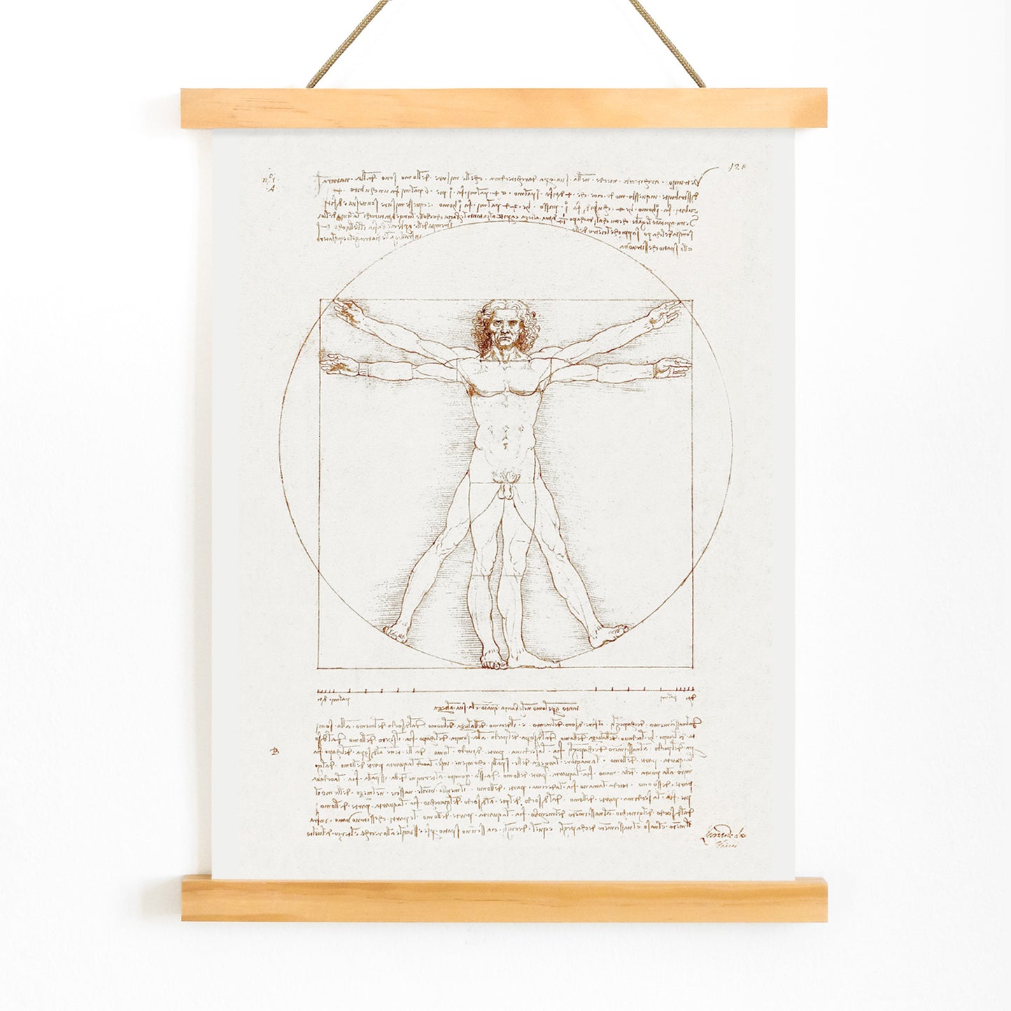 Vitruvian Man by Leonardo da Vinci human figure anatomical study with outstretched arms and legs inside circle and square geometric shapes artwork poster, with wooden magnetic frame on white background