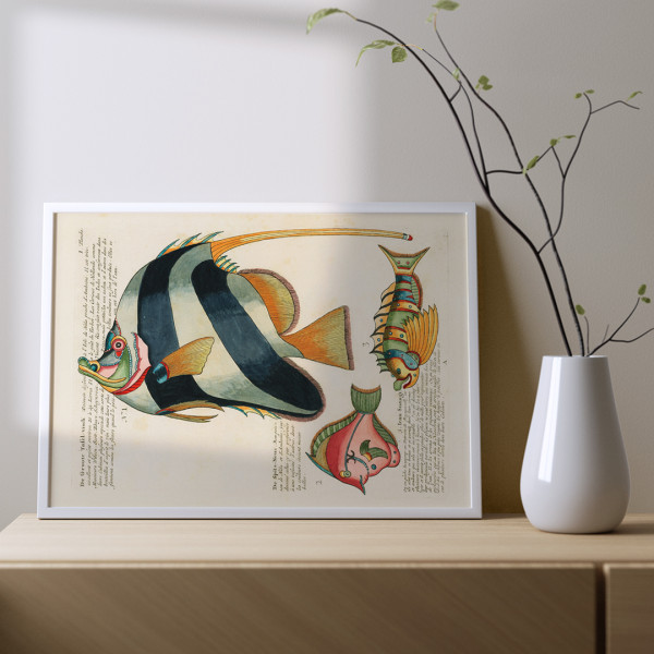Il·lustracions colorides i surrealistes de peixos 2