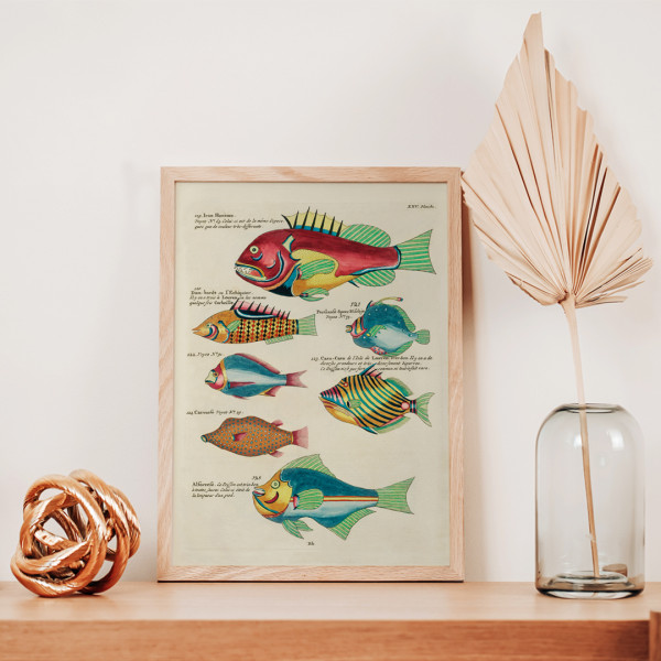 Il·lustracions colorides i surrealistes de peixos 4