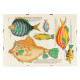 Il·lustracions colorides i surrealistes de peixos 5