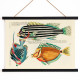 Il·lustracions colorides i surrealistes de peixos 7