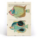 Il·lustracions colorides i surrealistes de peixos 8