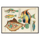 Il·lustracions colorides i surrealistes de peixos 9